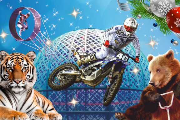 Цирк Виват Стерлитамак - шоу "На грани экстрима"